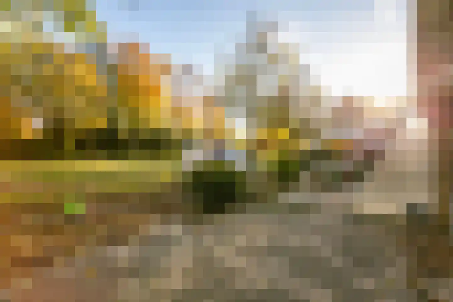 Homoet 1 A Veenendaal thumbnail 5