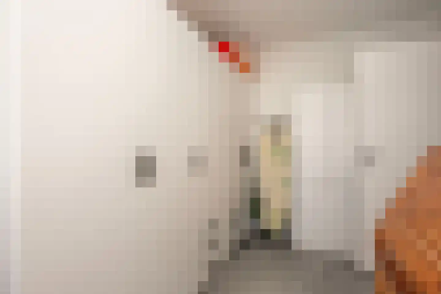 Homoet 3 A Veenendaal thumbnail 18