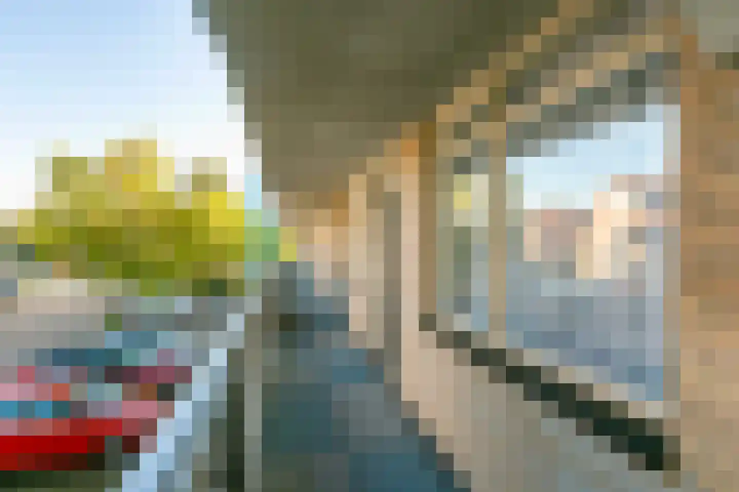 Homoet 3 A Veenendaal thumbnail 25