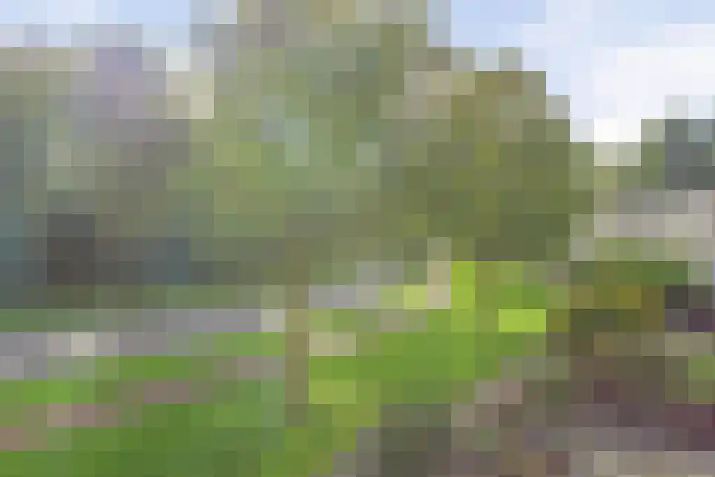 Homoet 3 A Veenendaal thumbnail 29