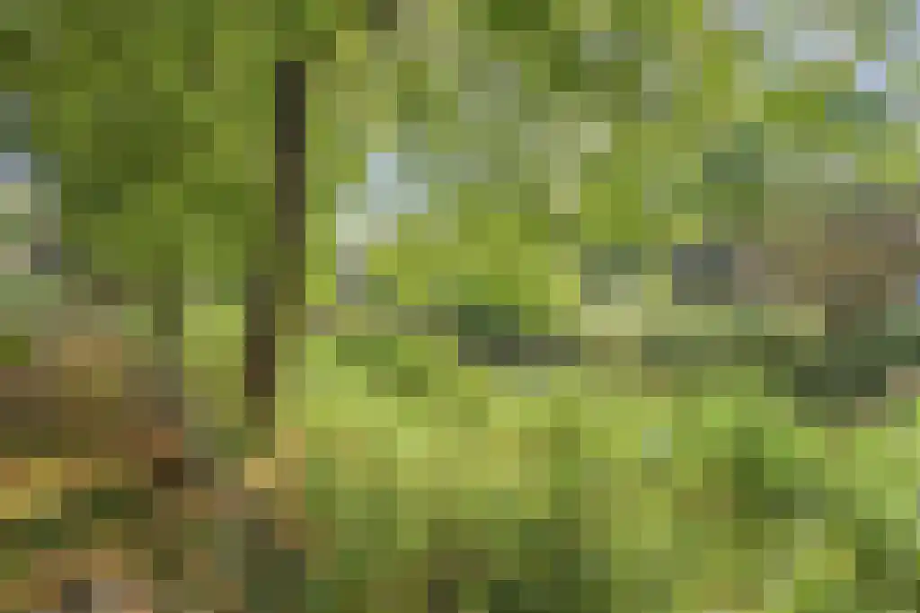 Homoet 3 A Veenendaal thumbnail 30