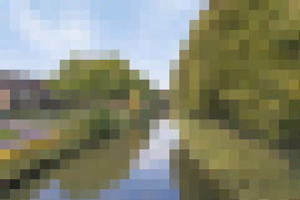 Homoet 3 A Veenendaal thumbnail 32