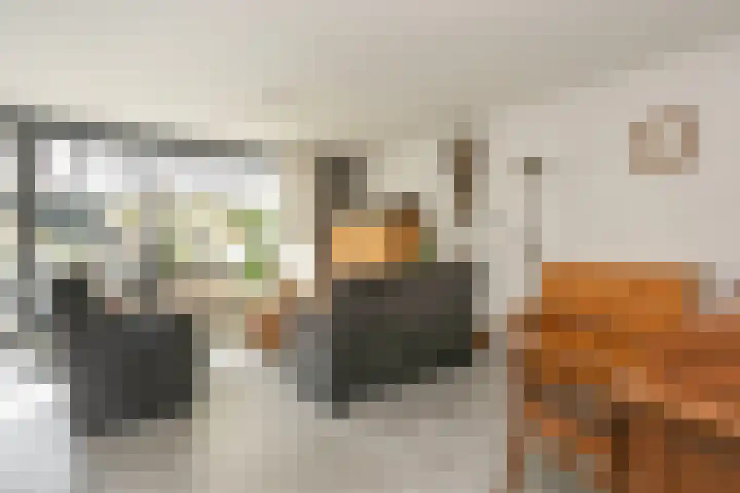Homoet 3 A Veenendaal thumbnail 5