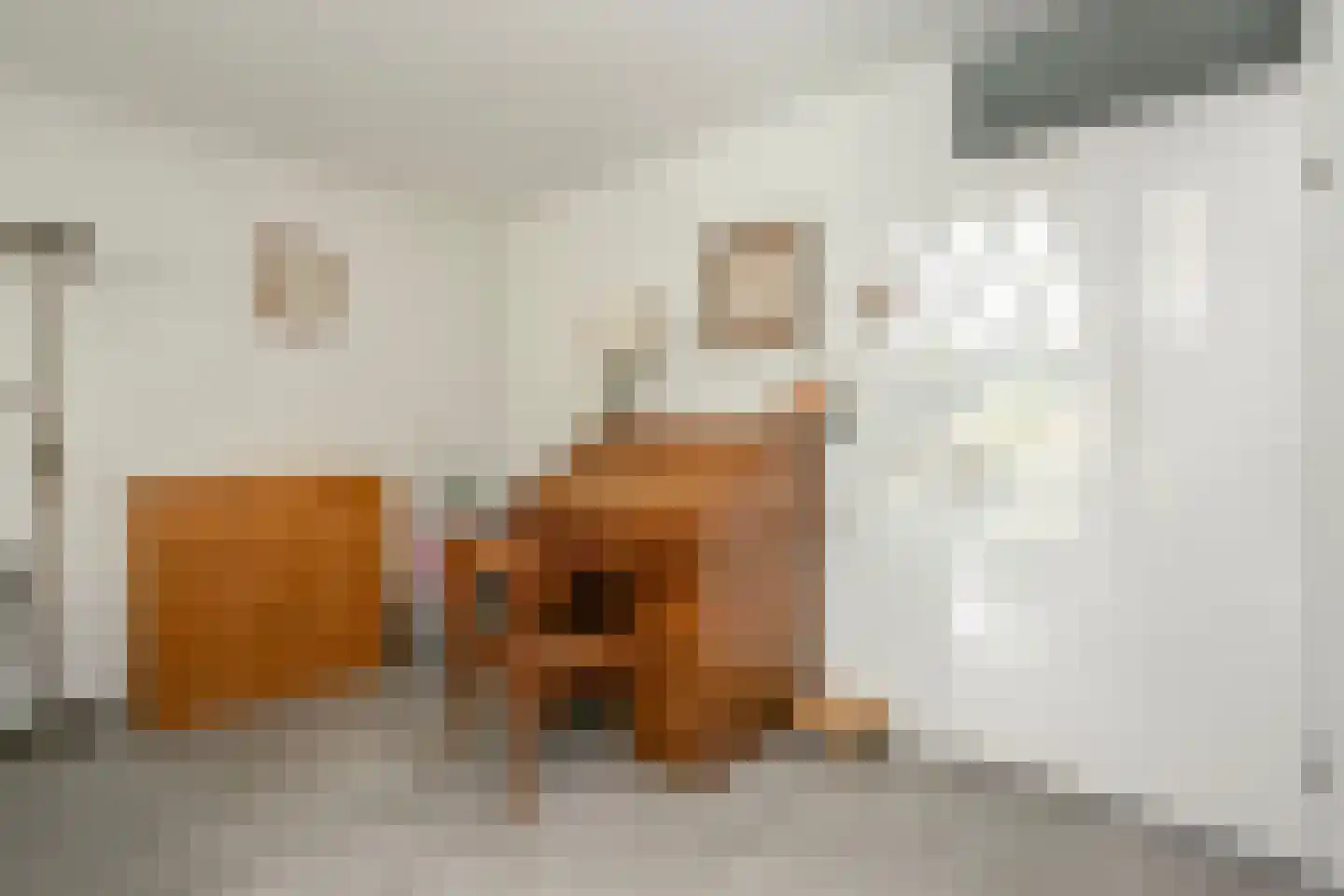 Homoet 3 A Veenendaal thumbnail 8