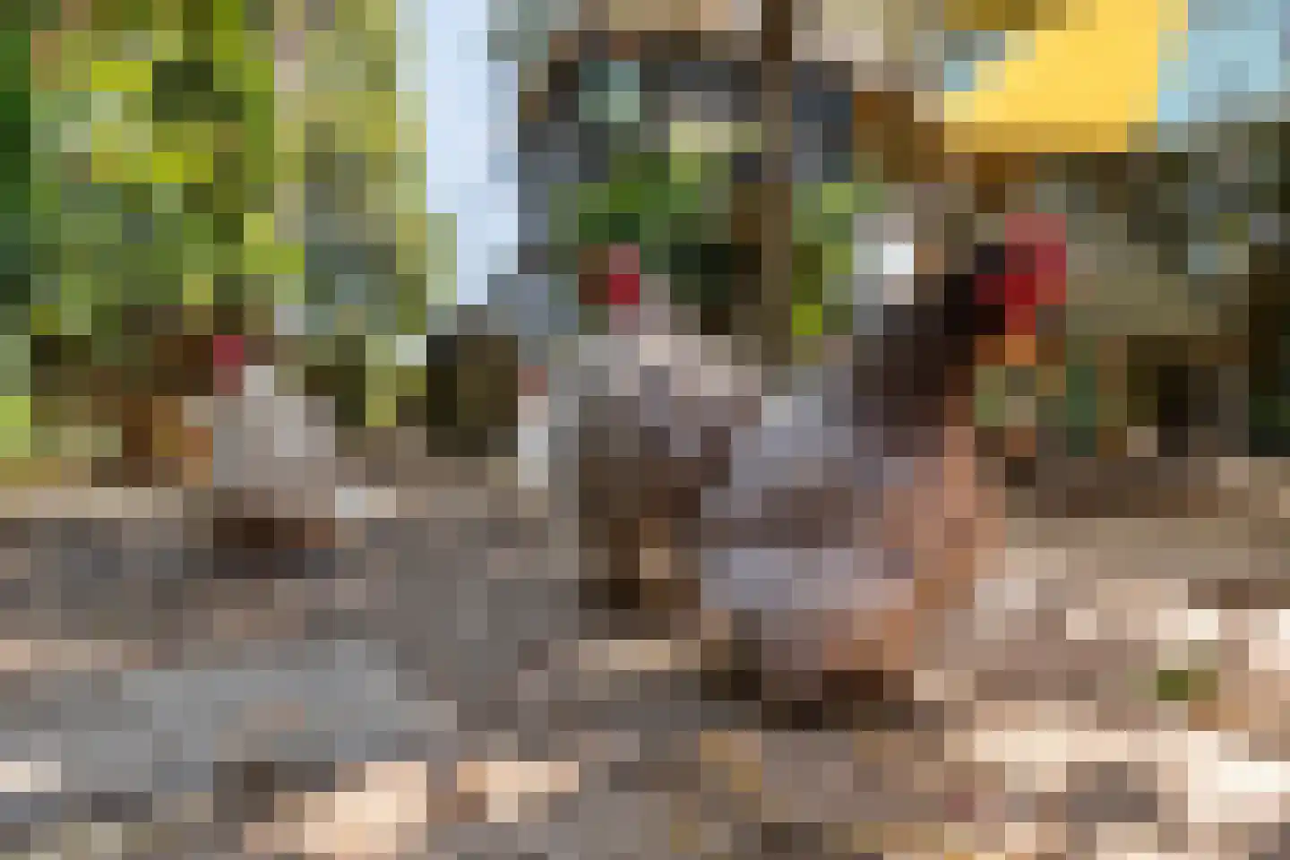Homoetsedreef 12 Eck en Wiel thumbnail 10