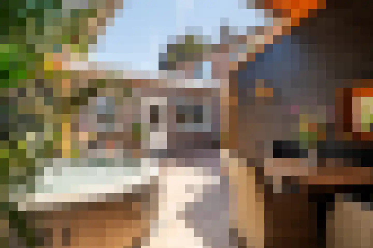 Homoetsedreef 12 Eck en Wiel thumbnail 14