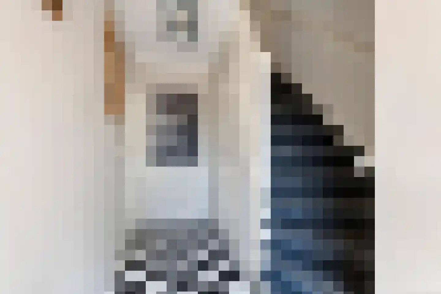 Homoetsedreef 12 Eck en Wiel thumbnail 18