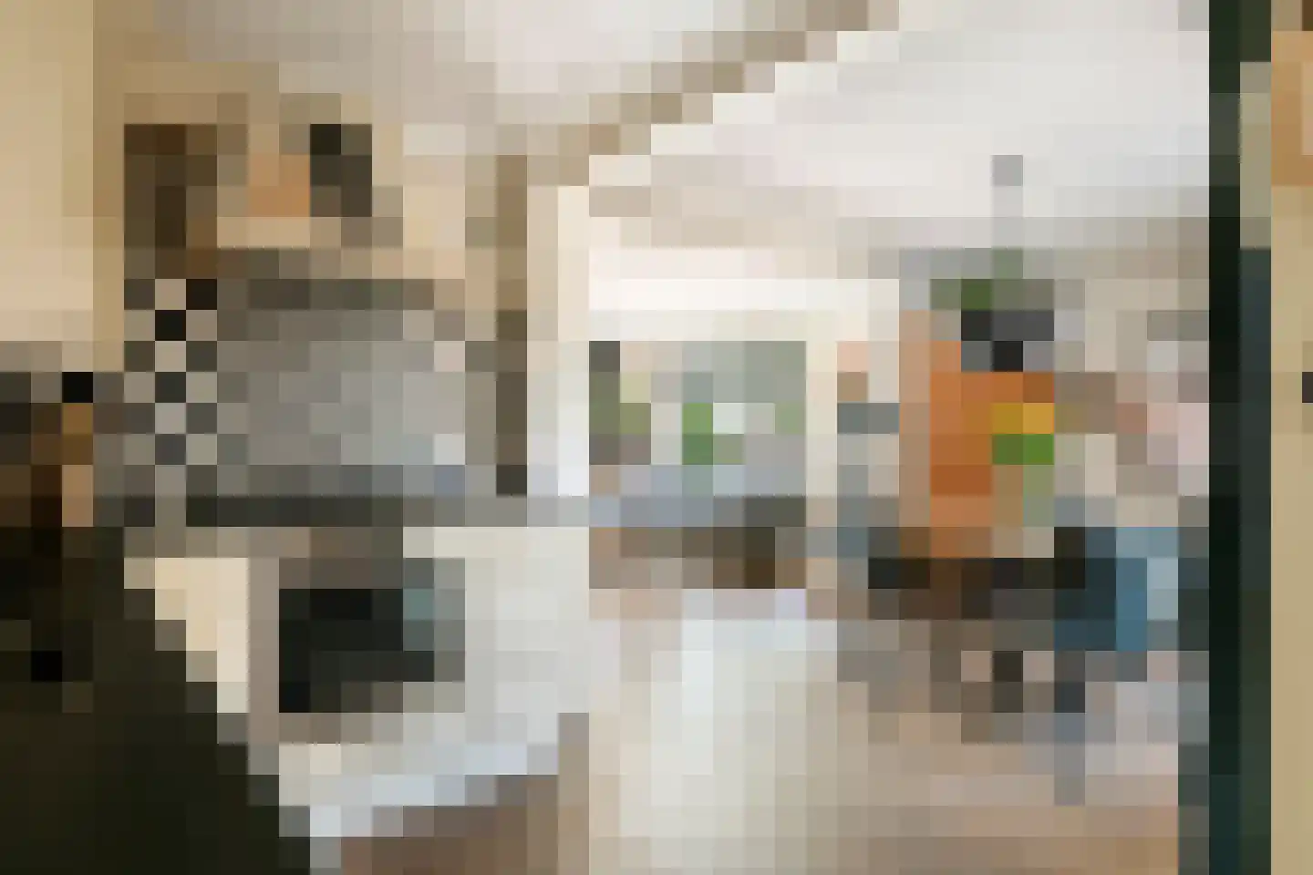 Homoetsedreef 12 Eck en Wiel thumbnail 26