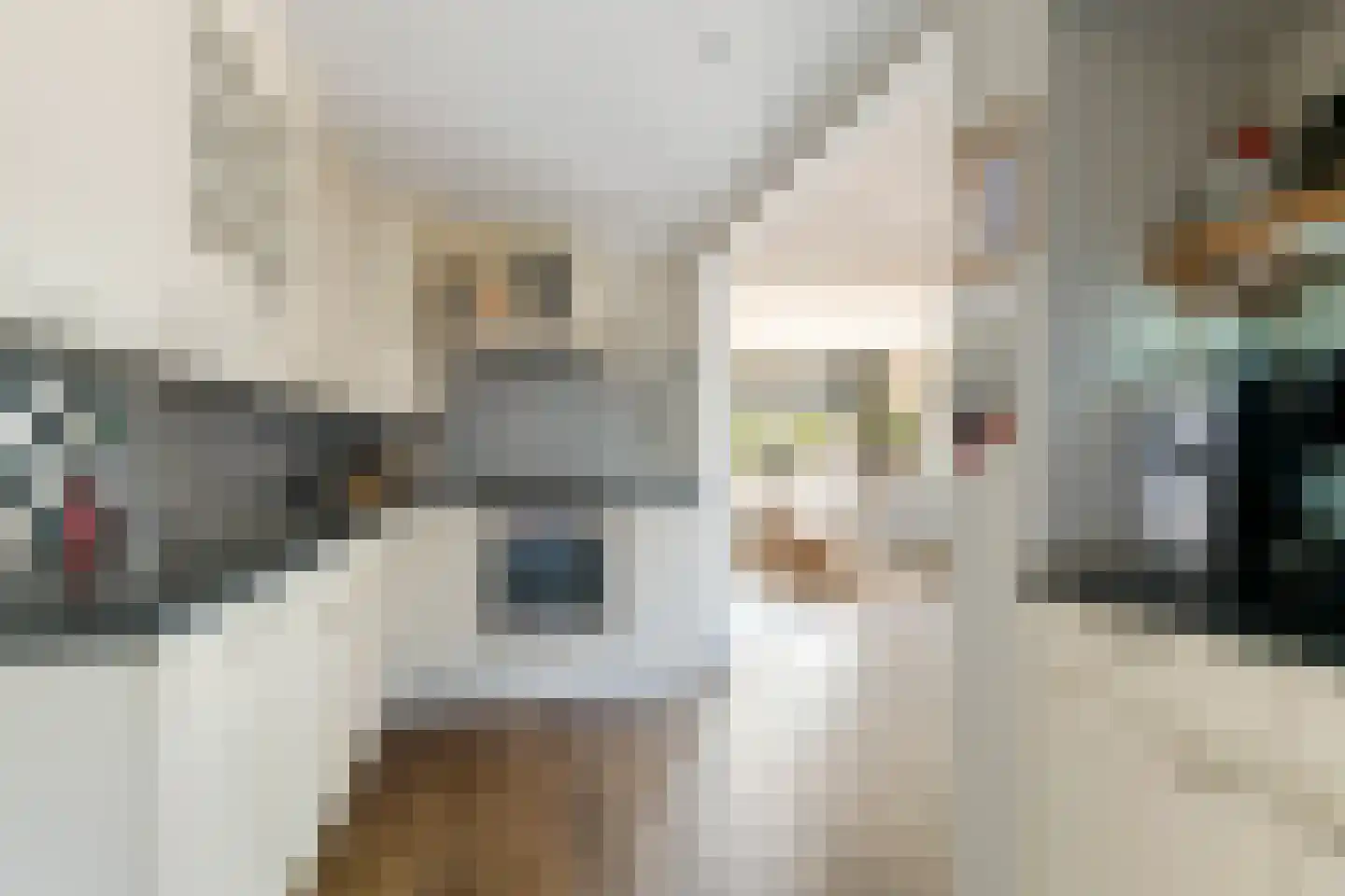 Homoetsedreef 12 Eck en Wiel foto 3