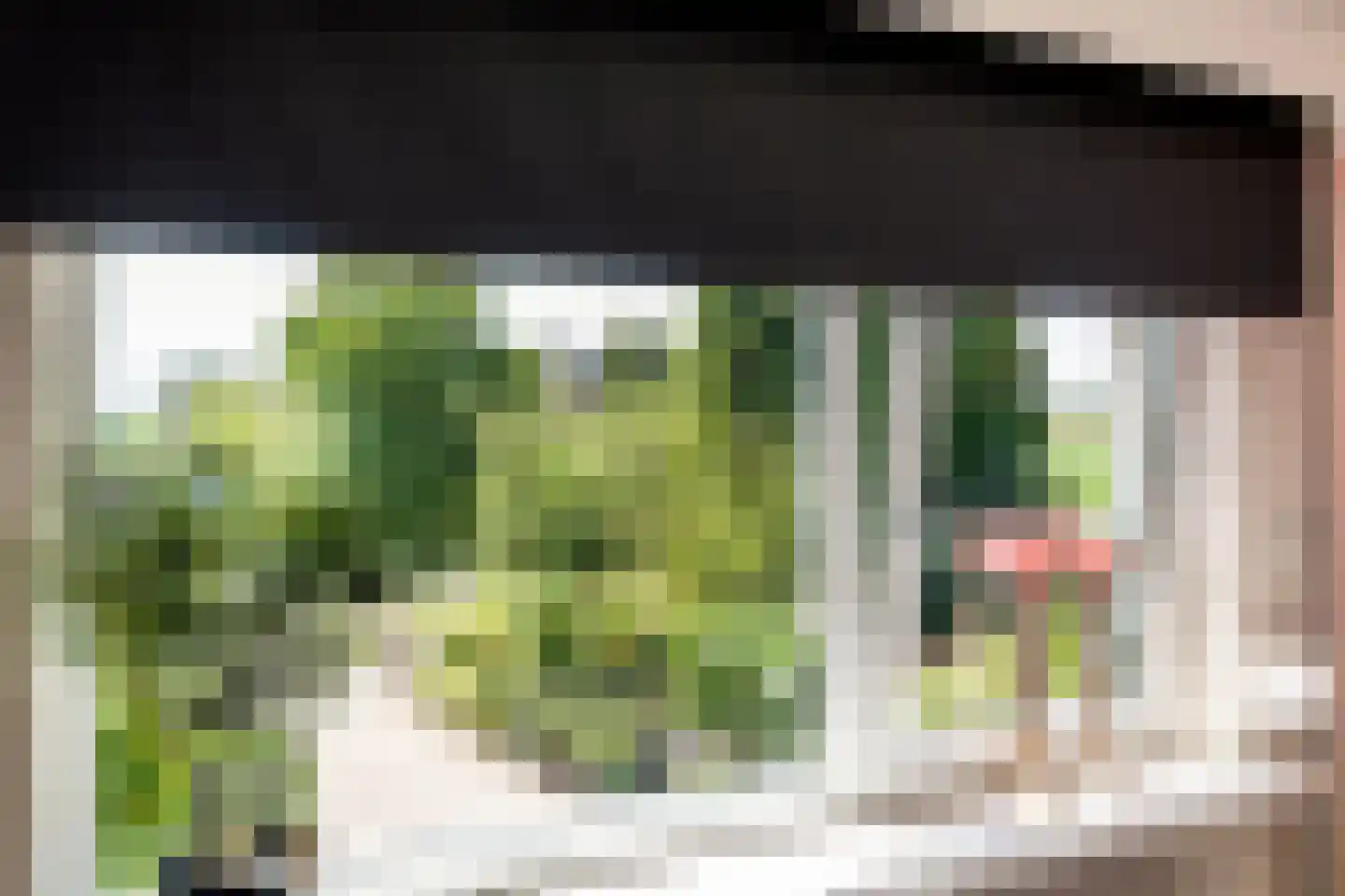 Homoetsedreef 12 Eck en Wiel thumbnail 30