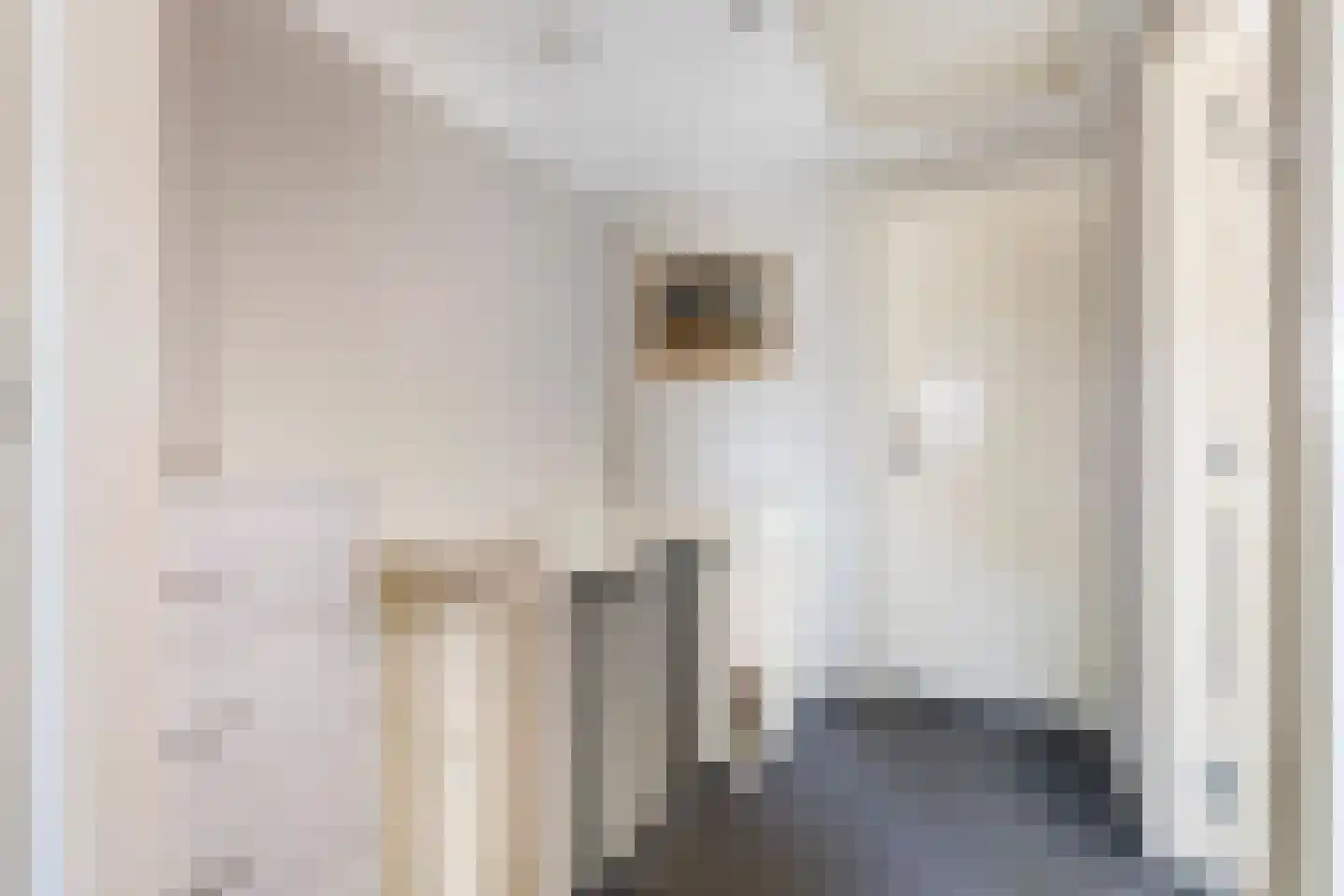 Homoetsedreef 12 Eck en Wiel thumbnail 36