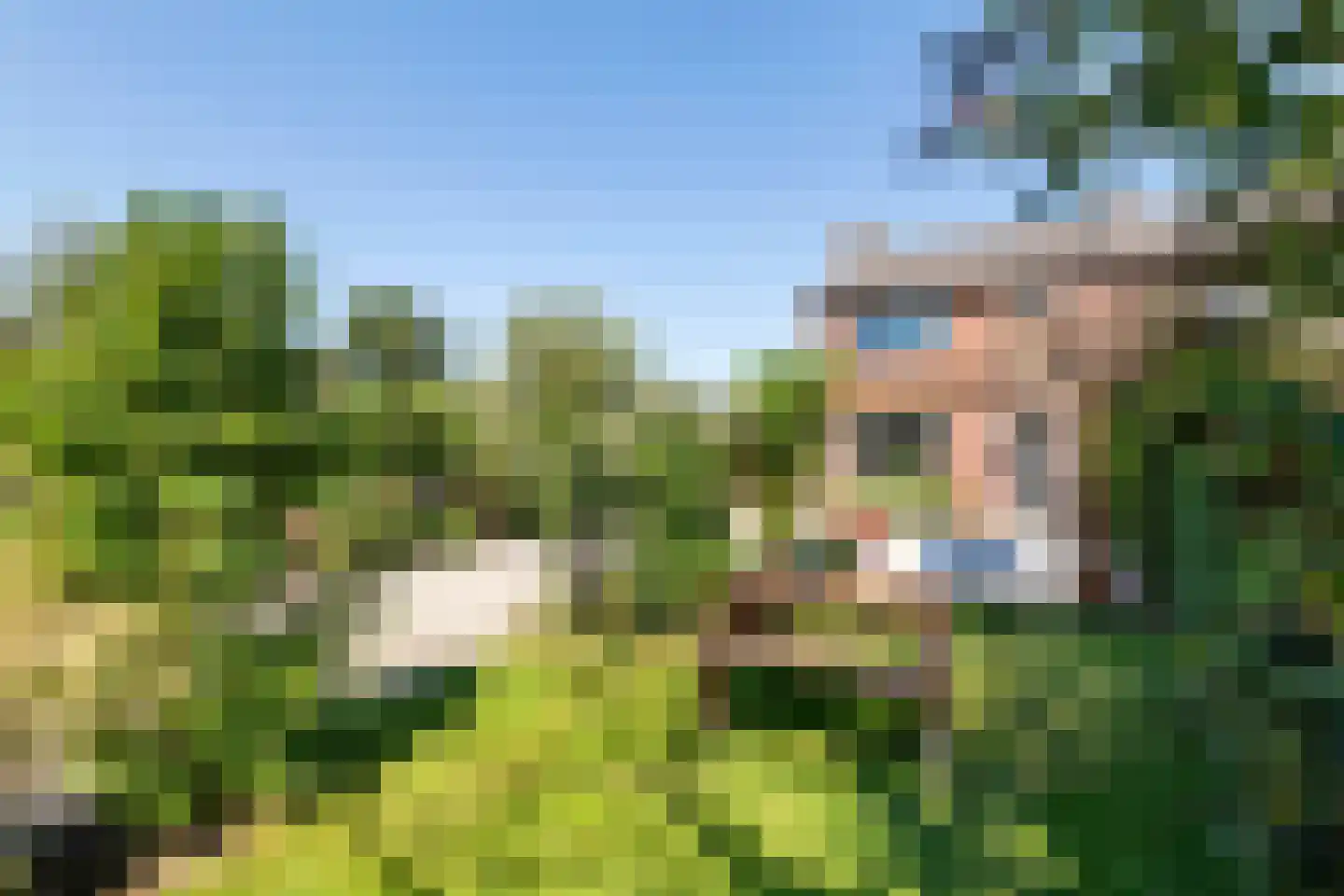 Homoetsedreef 12 Eck en Wiel thumbnail 4