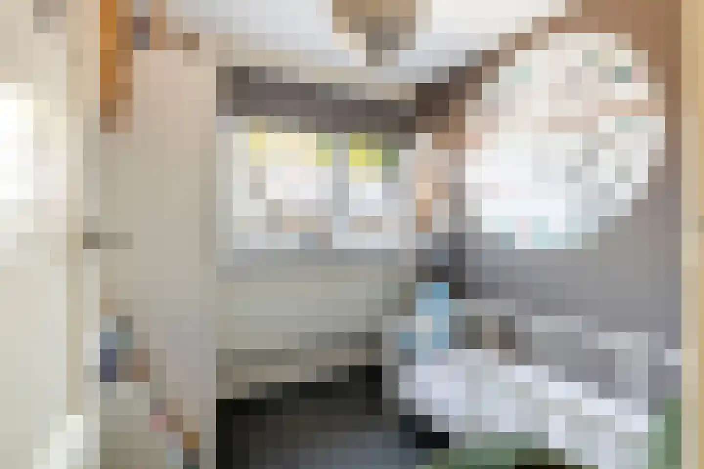 Homoetsedreef 12 Eck en Wiel thumbnail 42