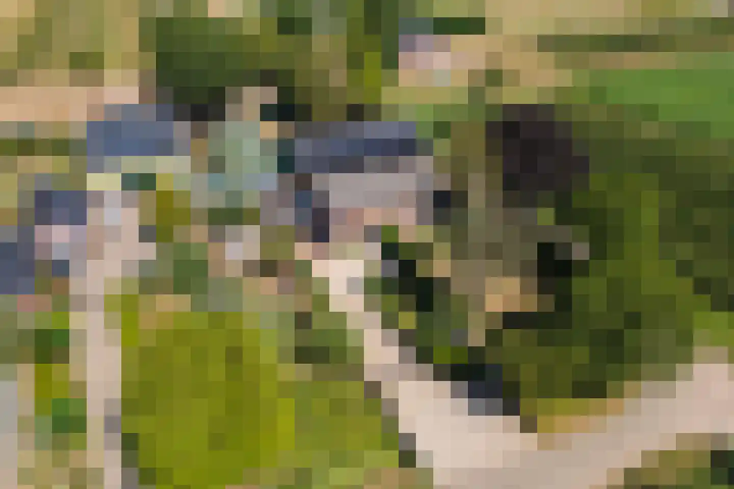 Homoetsedreef 12 Eck en Wiel thumbnail 44