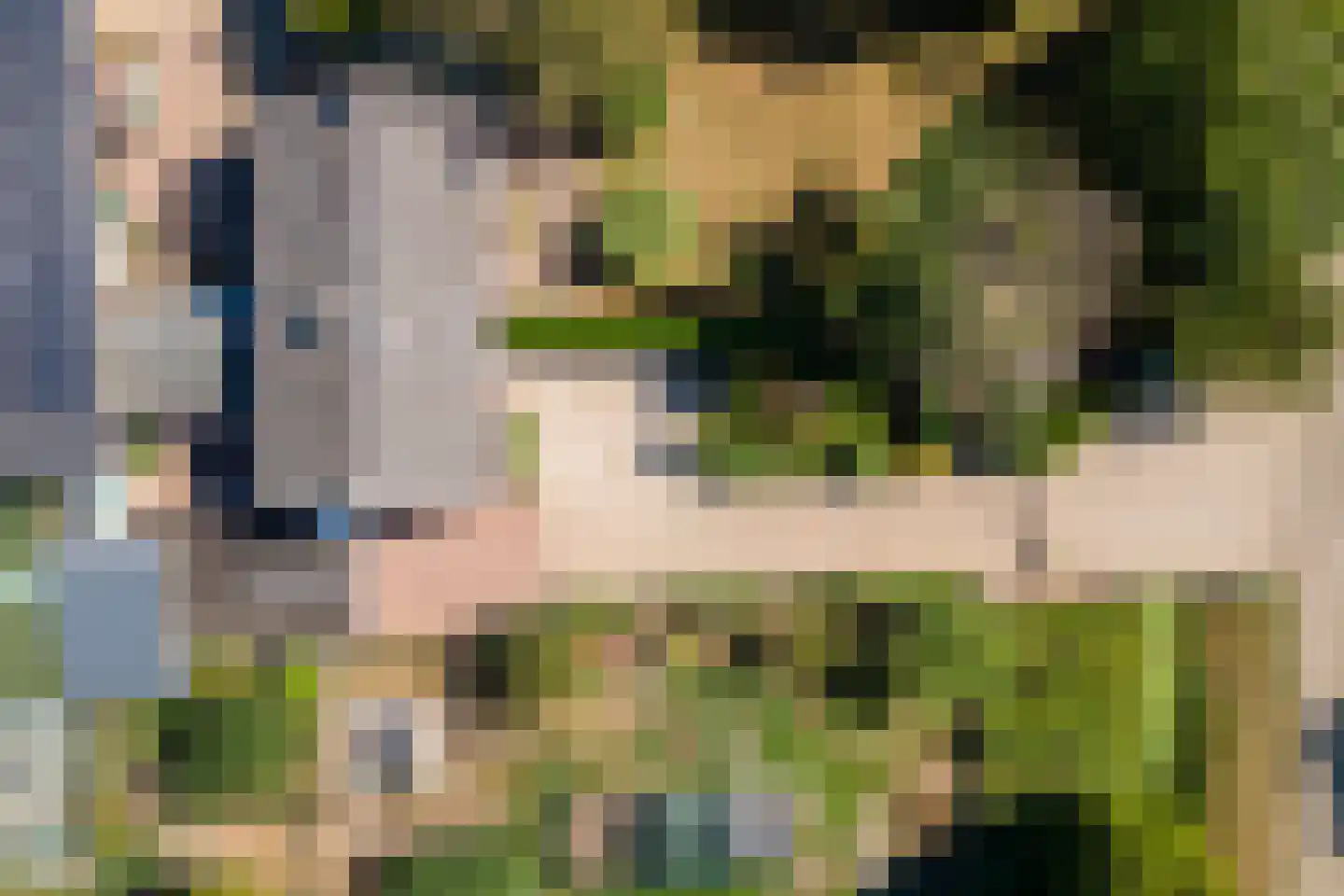 Homoetsedreef 12 Eck en Wiel thumbnail 45