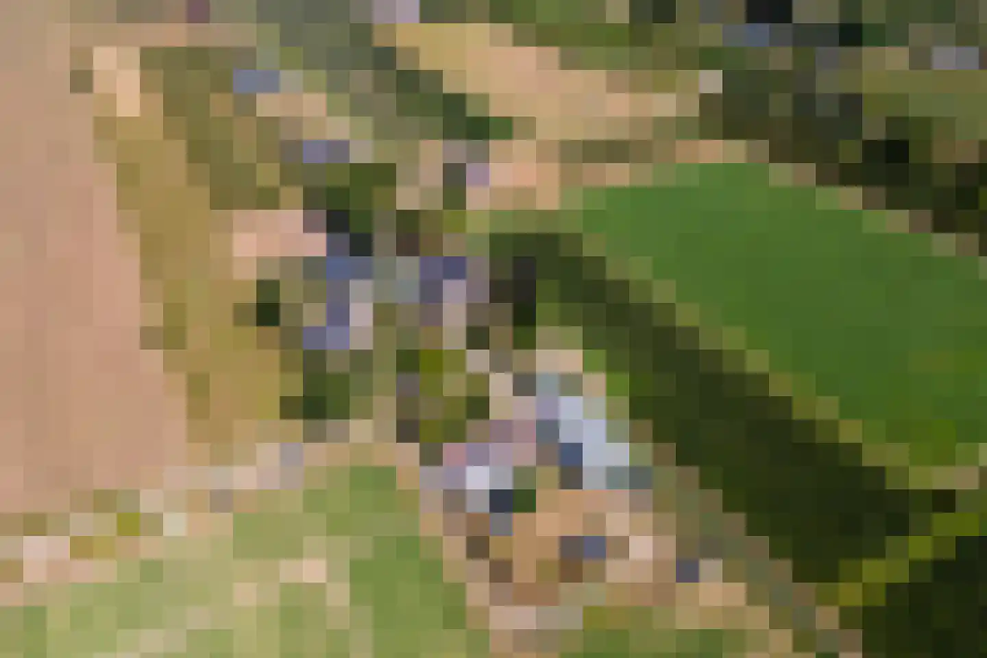 Homoetsedreef 12 Eck en Wiel thumbnail 46