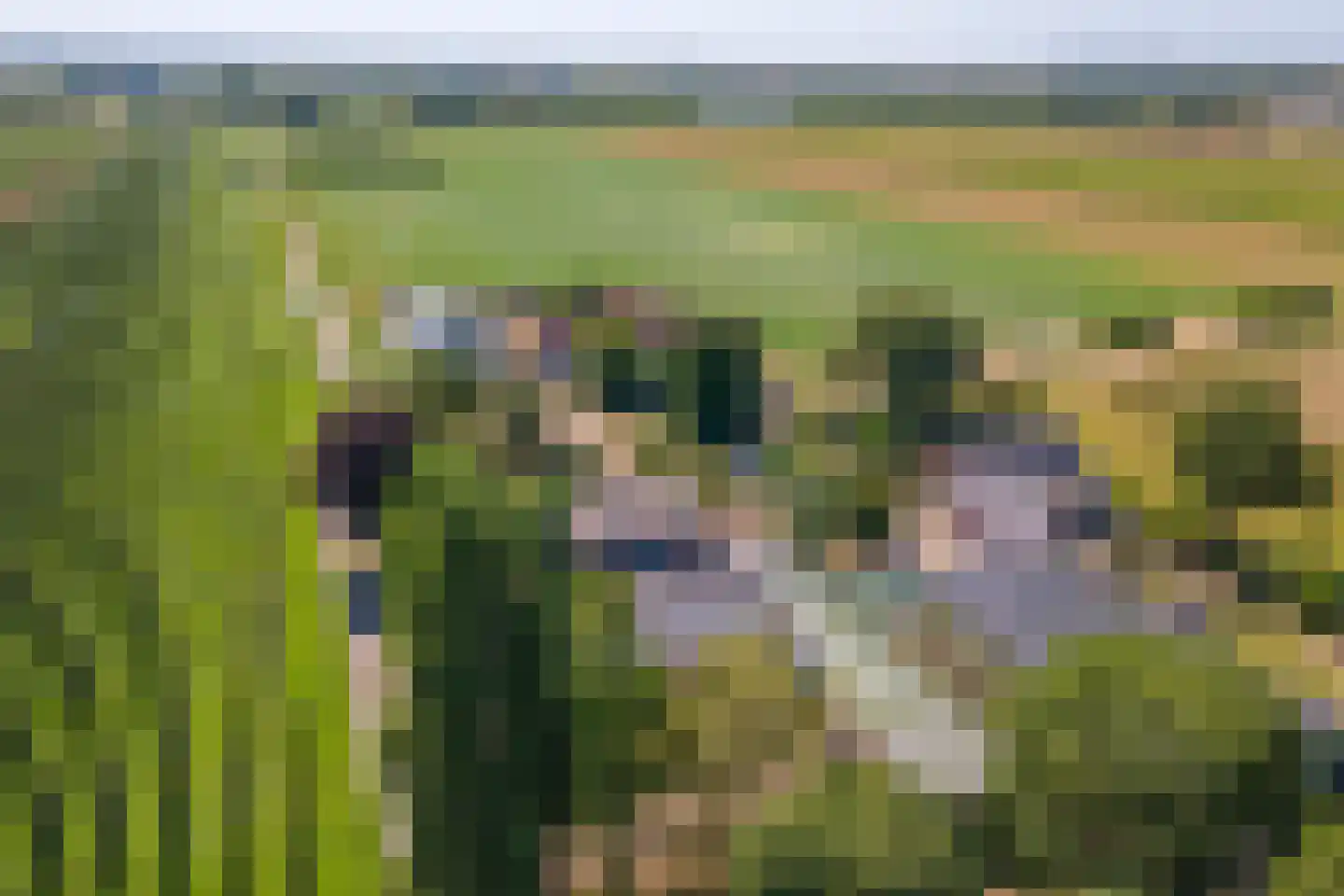 Homoetsedreef 12 Eck en Wiel thumbnail 47