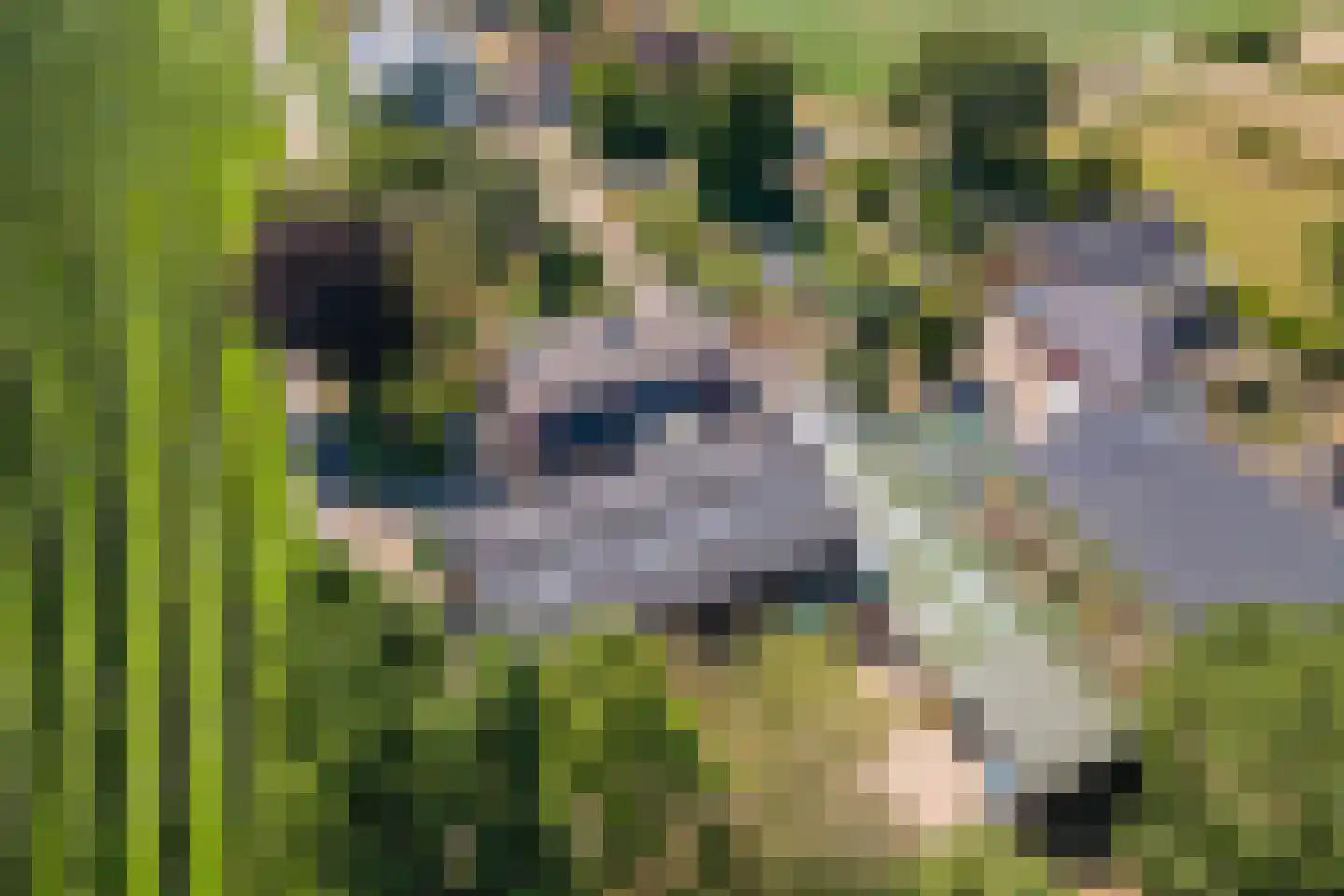 Homoetsedreef 12 Eck en Wiel thumbnail 48