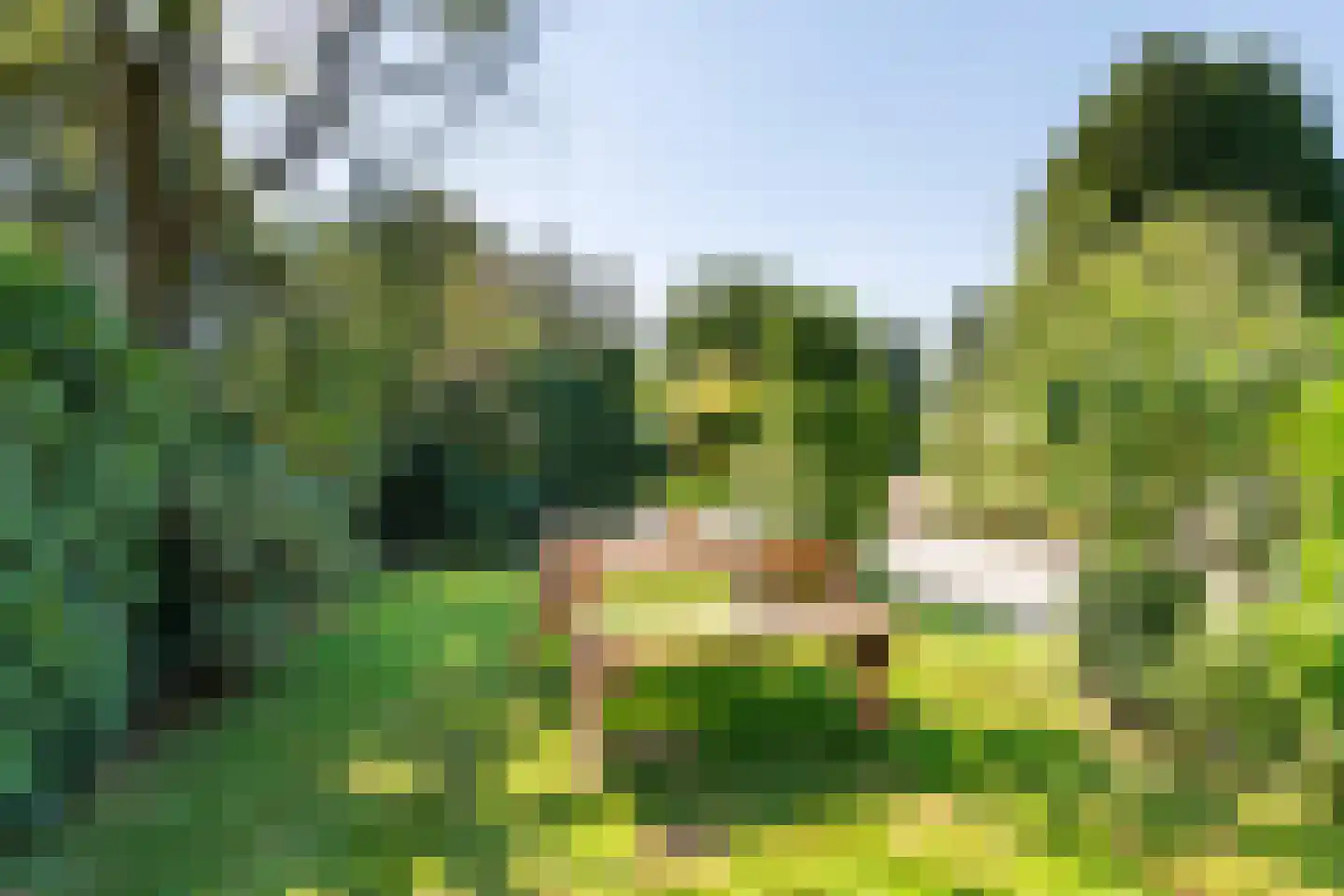 Homoetsedreef 12 Eck en Wiel thumbnail 9