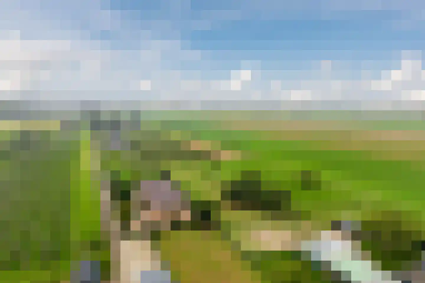 Homoetsedreef 2 Eck en Wiel thumbnail 101