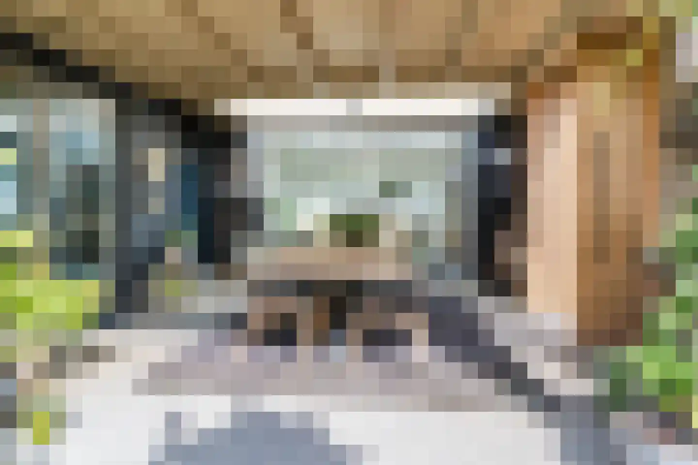 Homoetsedreef 2 Eck en Wiel thumbnail 29