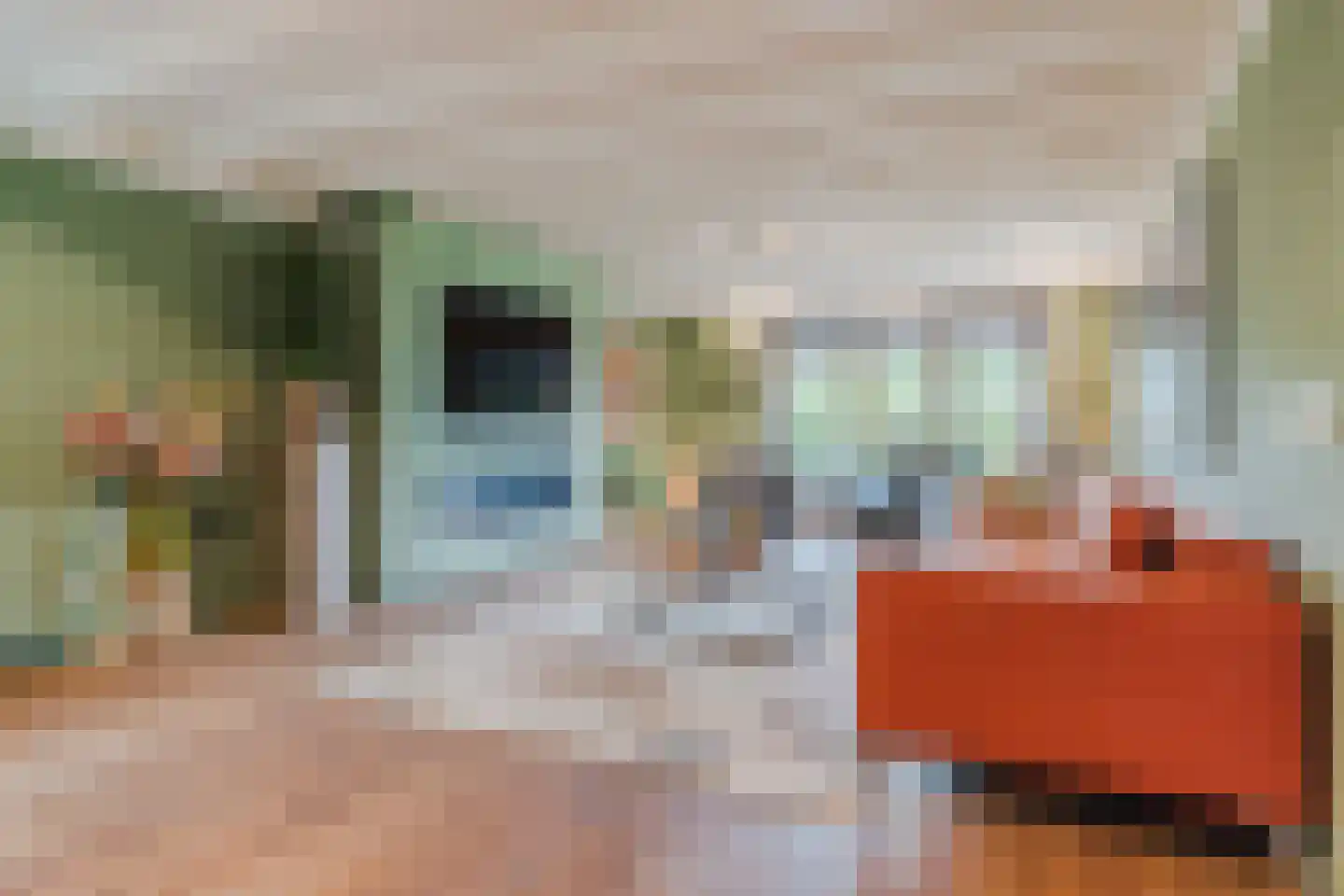 Homoetsedreef 2 Eck en Wiel foto 3