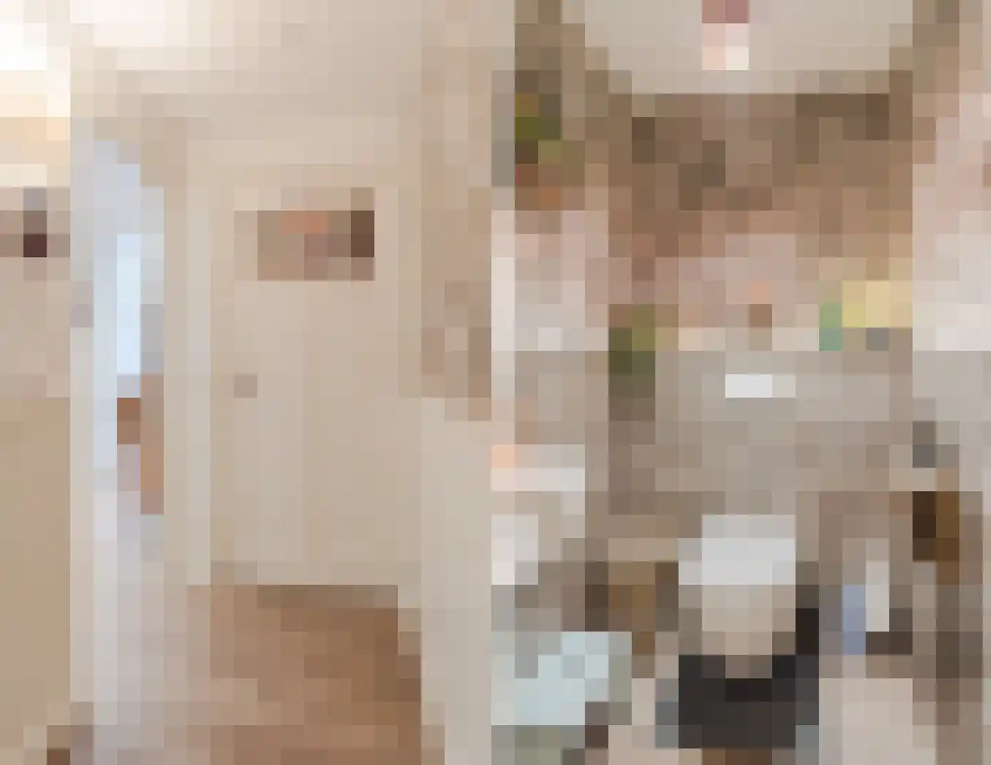 Homoetsedreef 2 Eck en Wiel thumbnail 32
