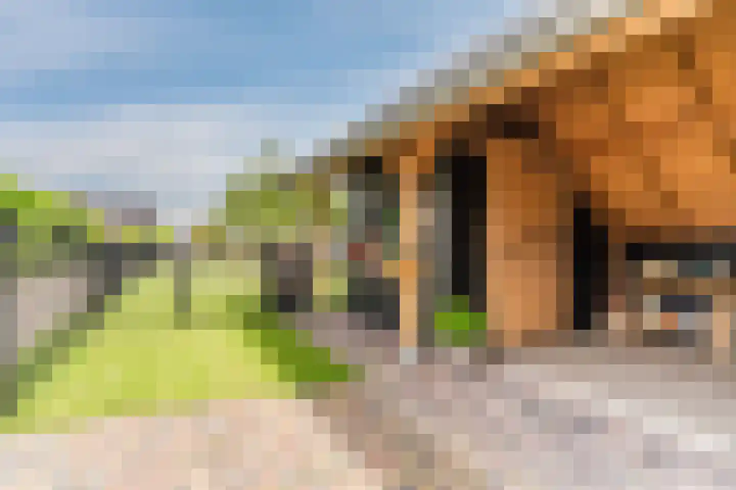 Homoetsedreef 2 Eck en Wiel thumbnail 4