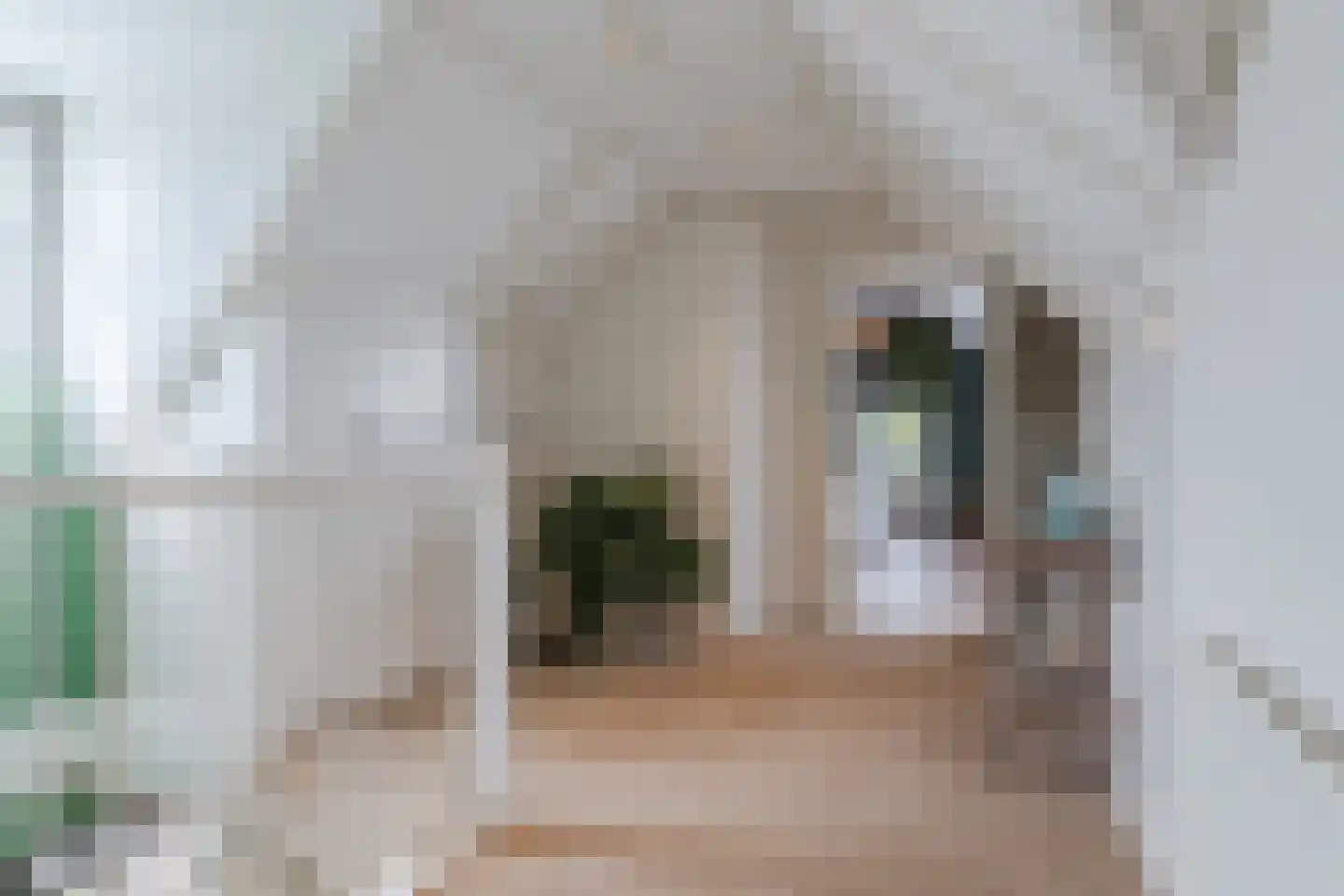 Homoetsedreef 2 Eck en Wiel thumbnail 43