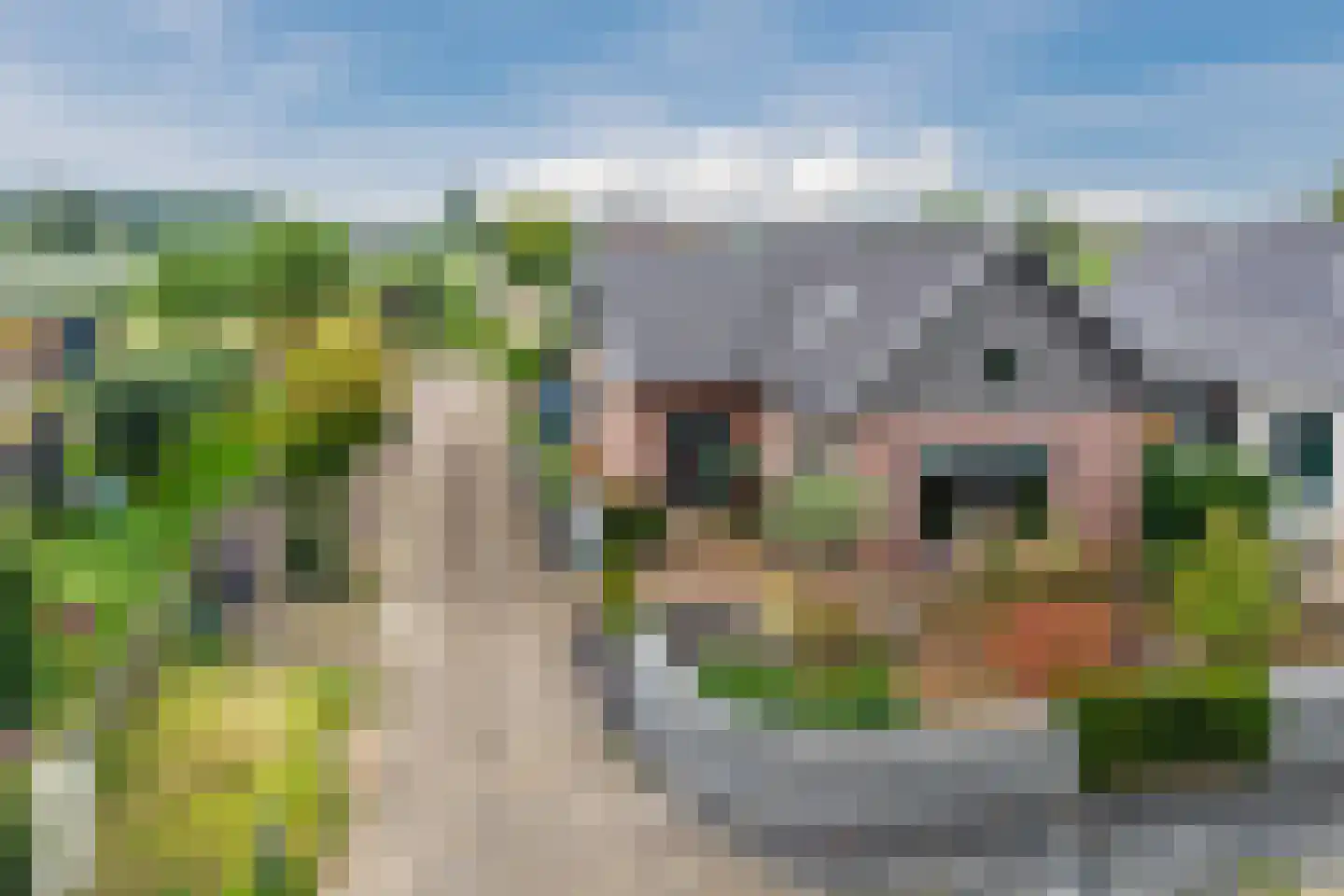Homoetsedreef 2 Eck en Wiel thumbnail 5