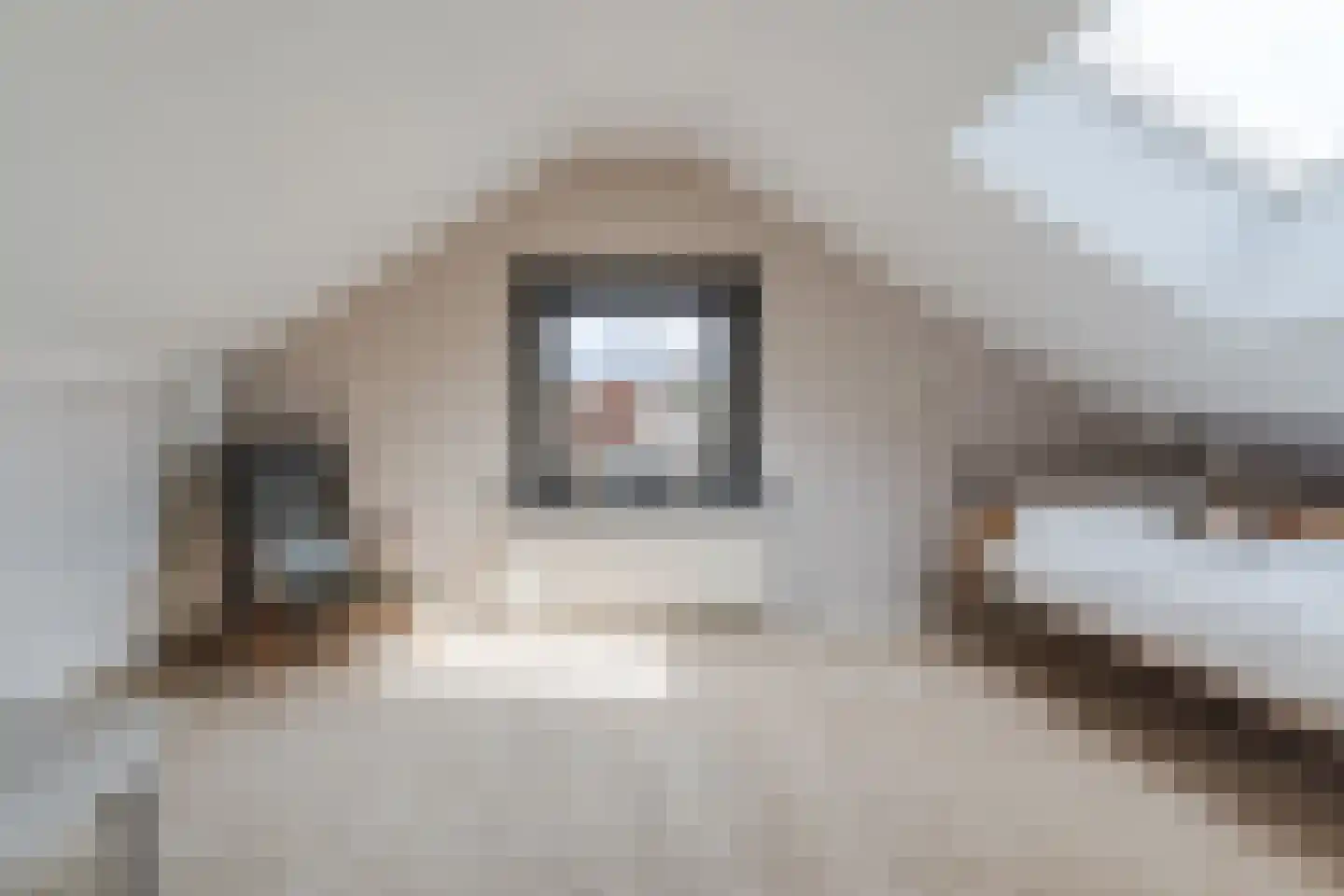 Homoetsedreef 2 Eck en Wiel thumbnail 51