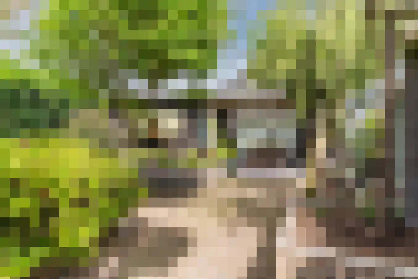 Homoetsedreef 2 Eck en Wiel thumbnail 59