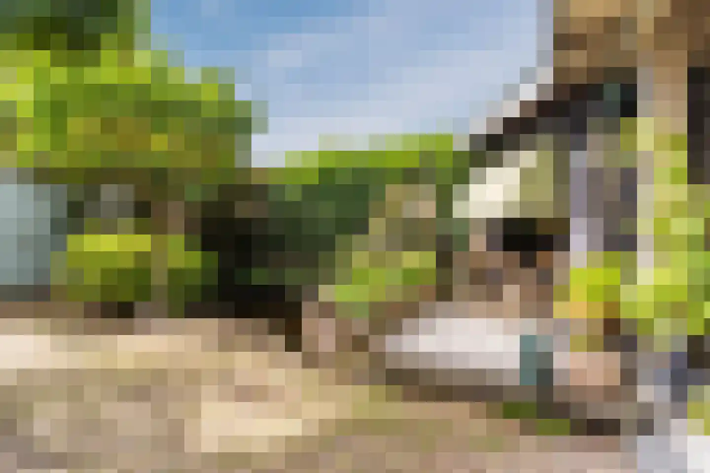 Homoetsedreef 2 Eck en Wiel thumbnail 60