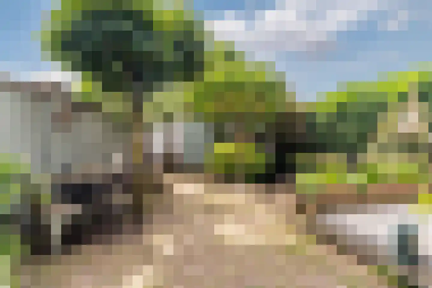 Homoetsedreef 2 Eck en Wiel thumbnail 61