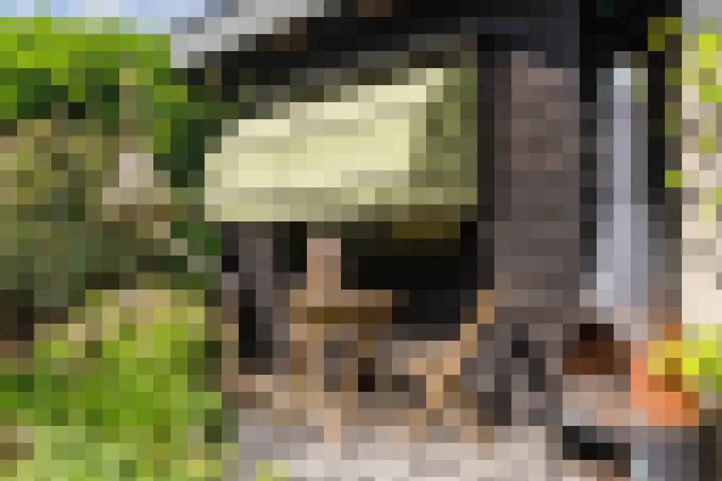 Homoetsedreef 2 Eck en Wiel thumbnail 62
