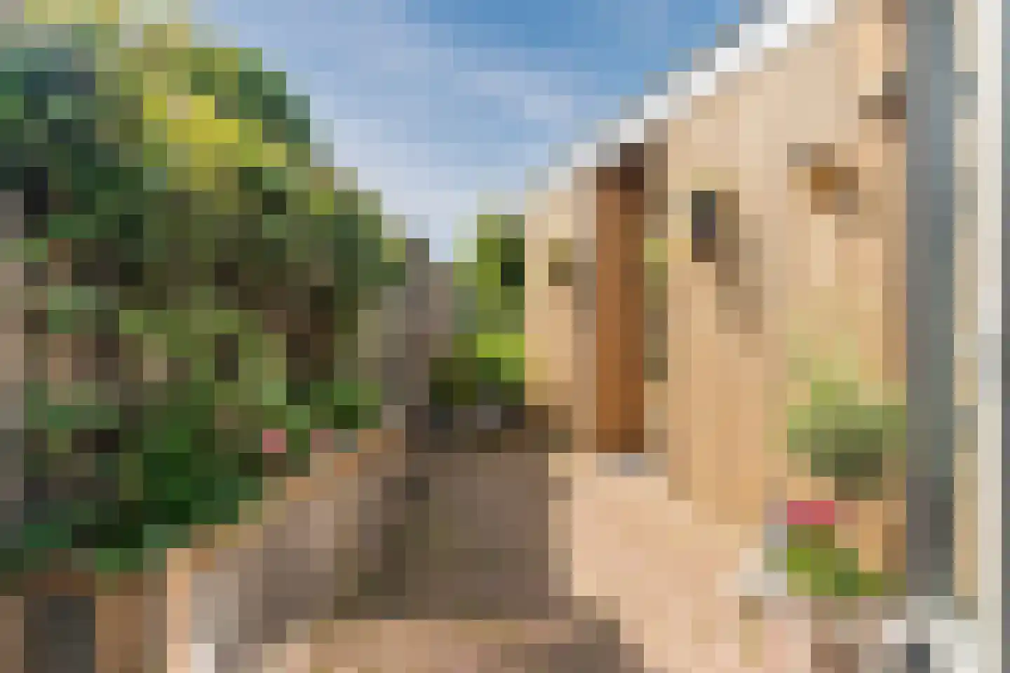 Homoetsedreef 2 Eck en Wiel thumbnail 64