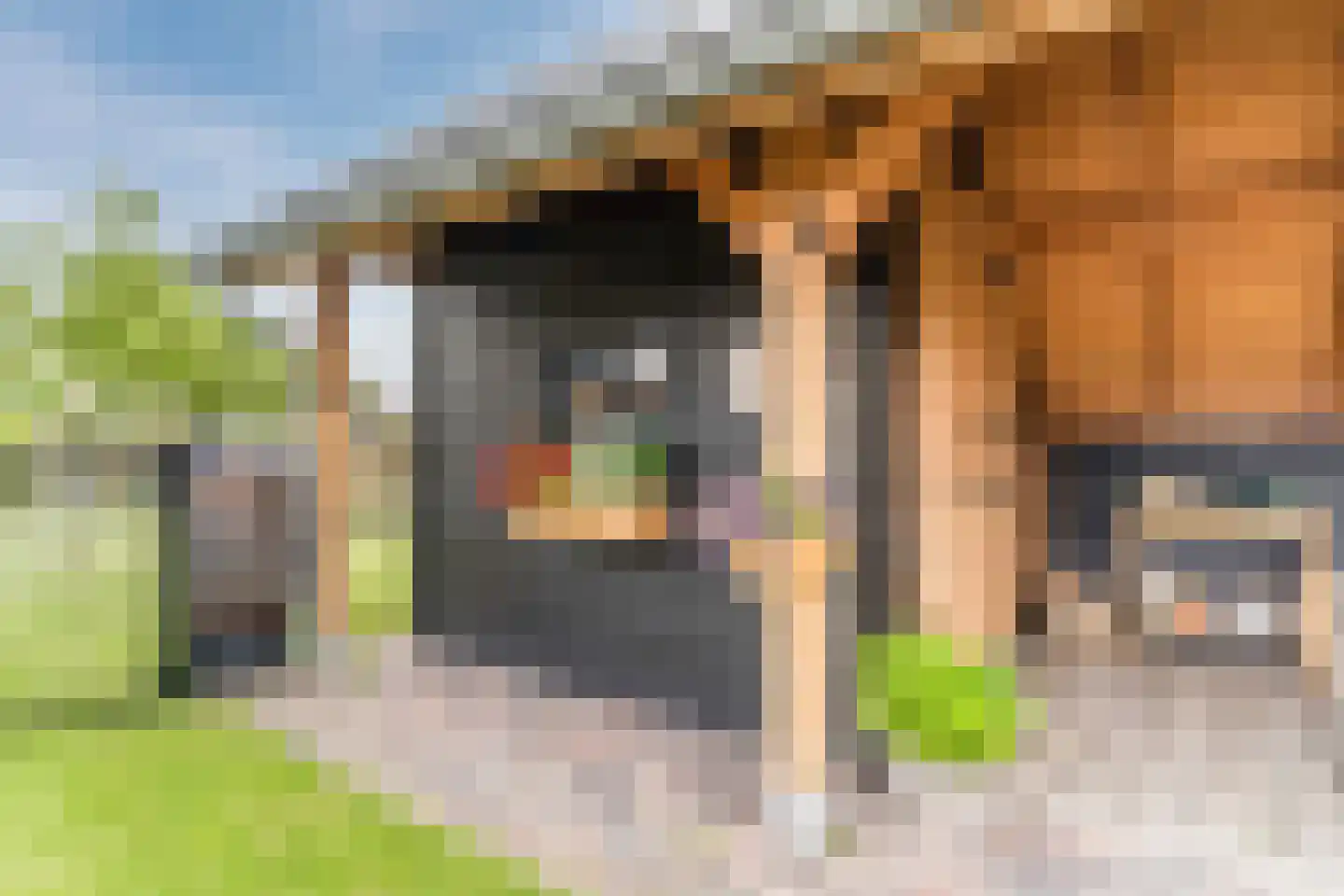 Homoetsedreef 2 Eck en Wiel thumbnail 74