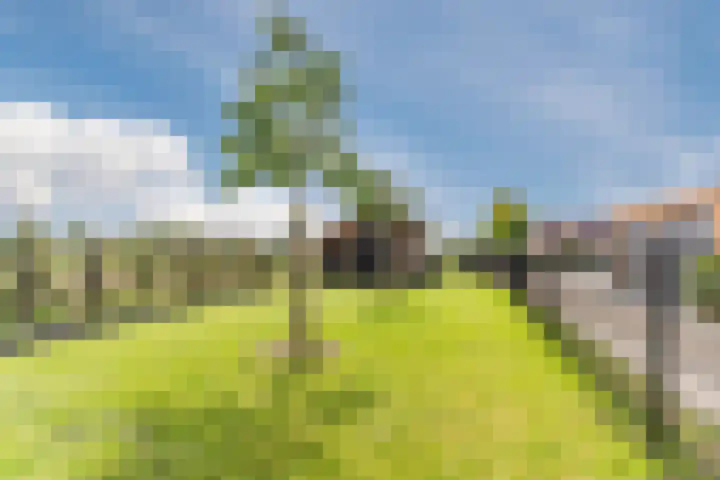 Homoetsedreef 2 Eck en Wiel thumbnail 78