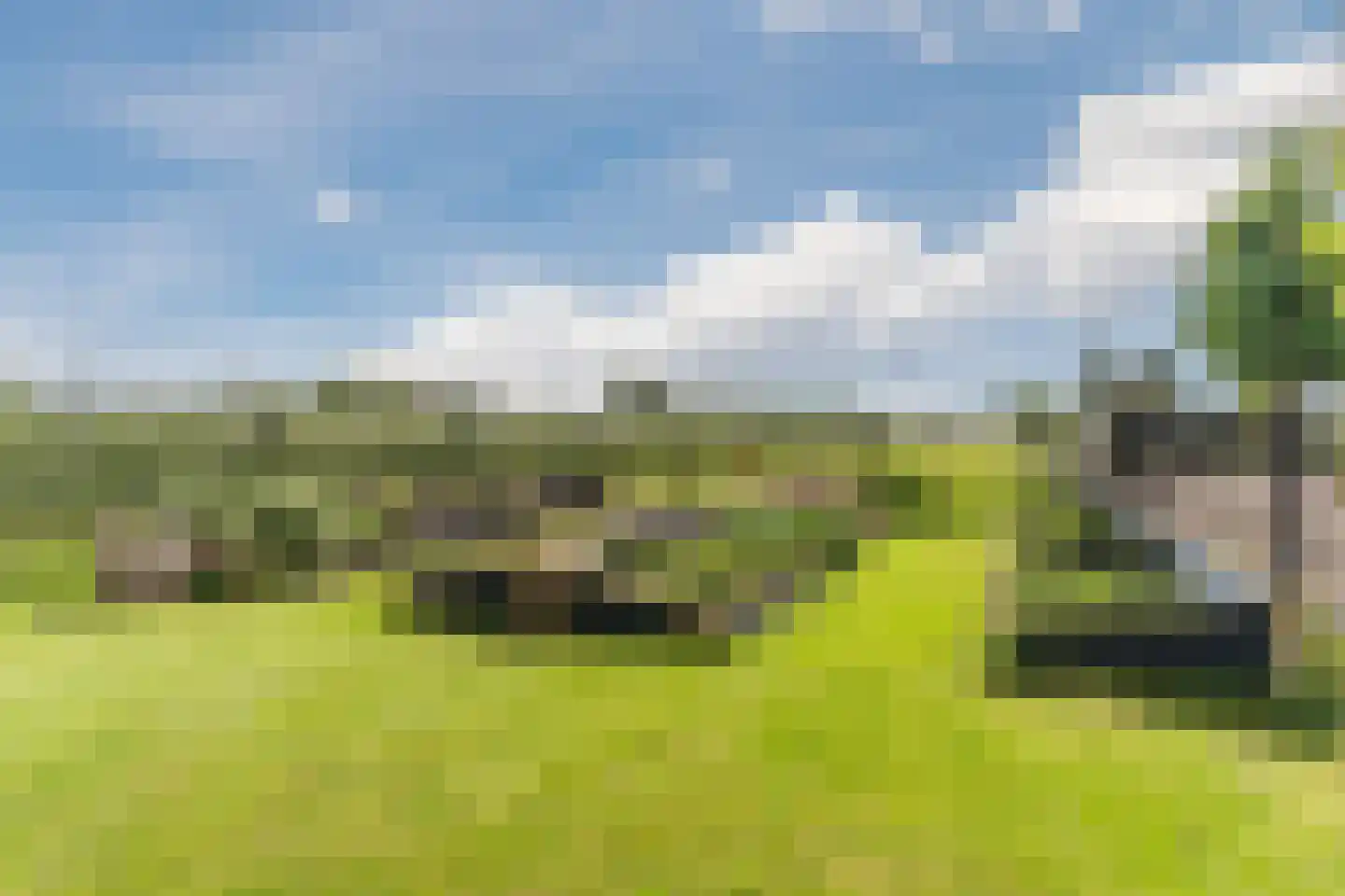 Homoetsedreef 2 Eck en Wiel thumbnail 81