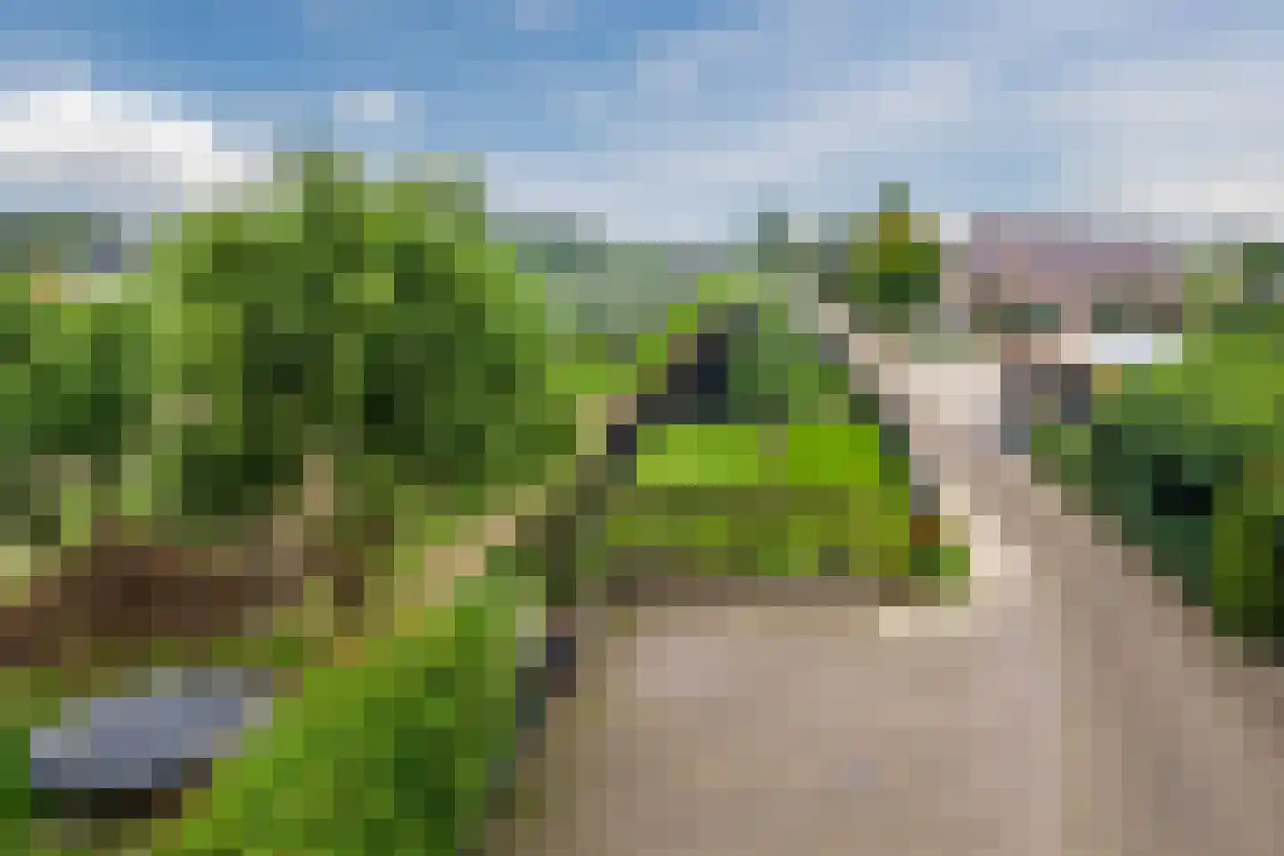 Homoetsedreef 2 Eck en Wiel thumbnail 86