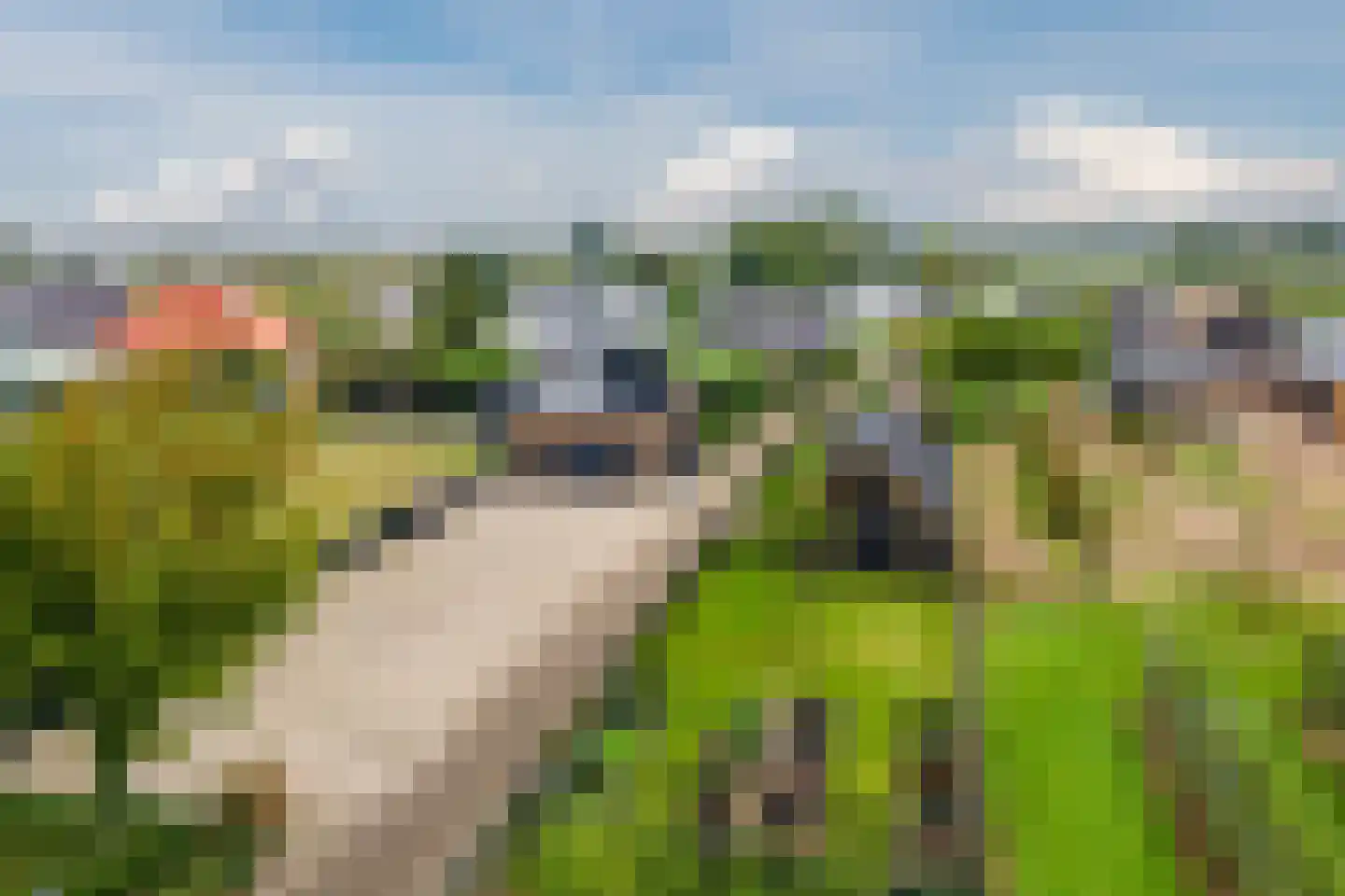 Homoetsedreef 2 Eck en Wiel thumbnail 87