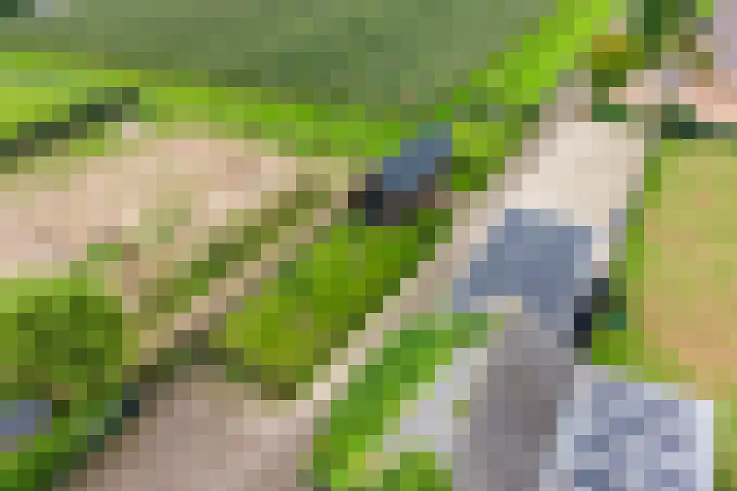Homoetsedreef 2 Eck en Wiel thumbnail 90