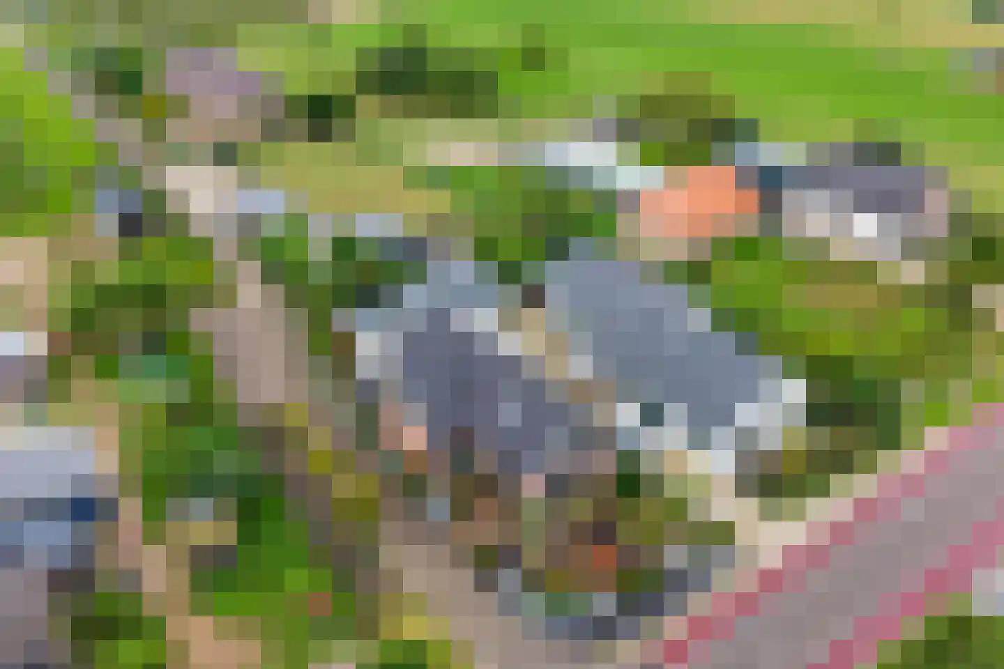 Homoetsedreef 2 Eck en Wiel thumbnail 91