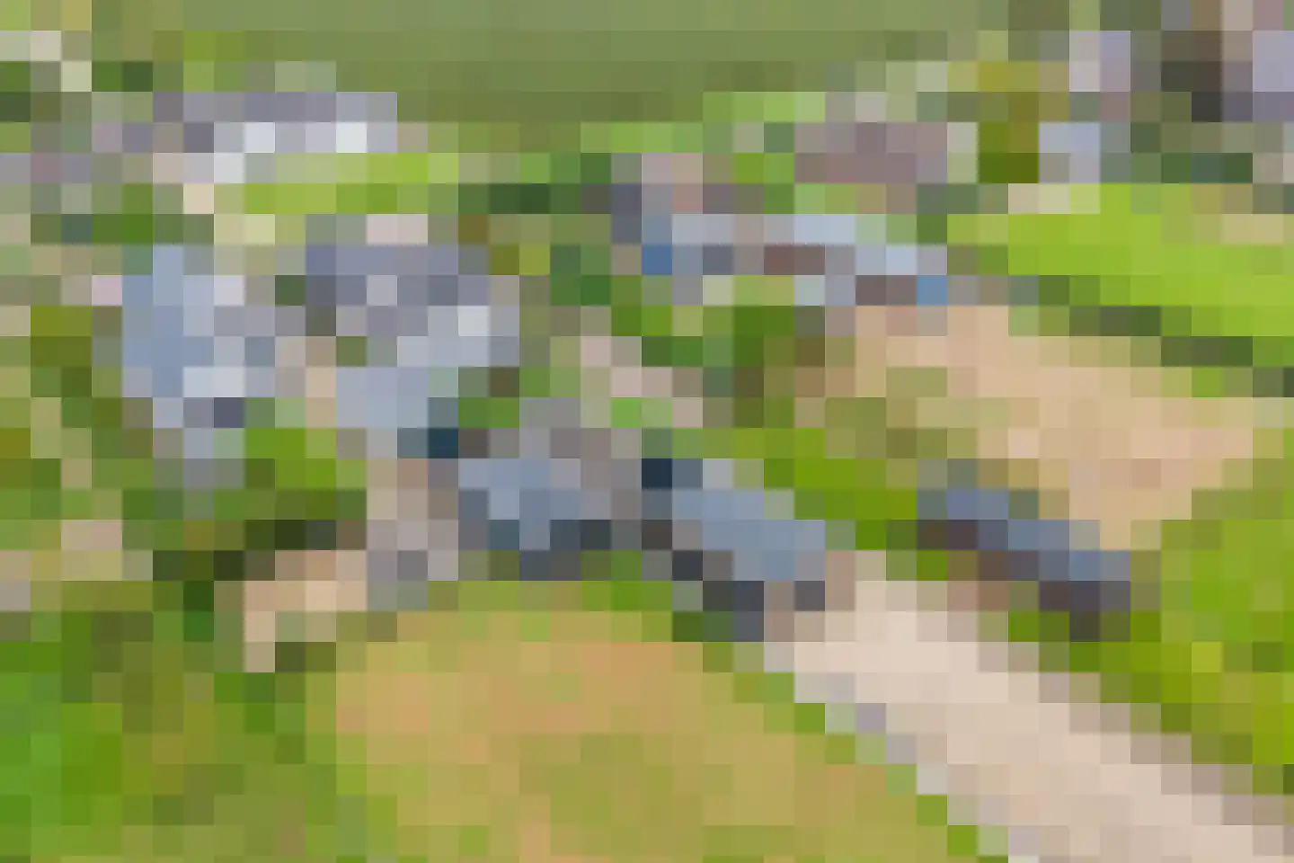 Homoetsedreef 2 Eck en Wiel thumbnail 97