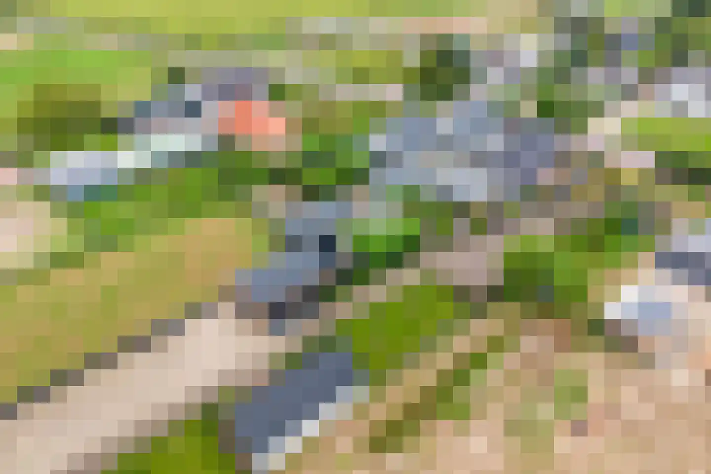 Homoetsedreef 2 Eck en Wiel thumbnail 98