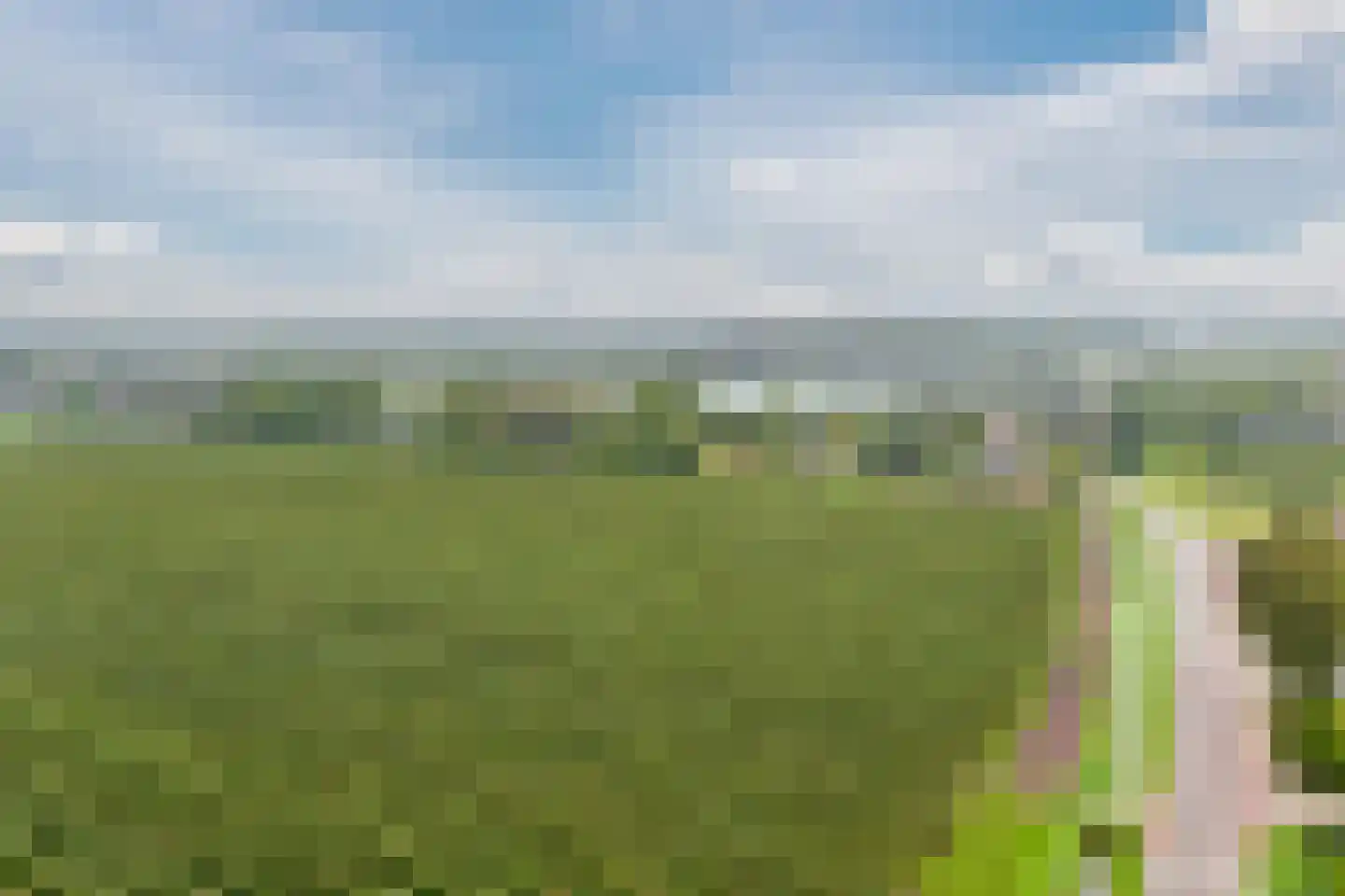 Homoetsedreef 2 Eck en Wiel thumbnail 99