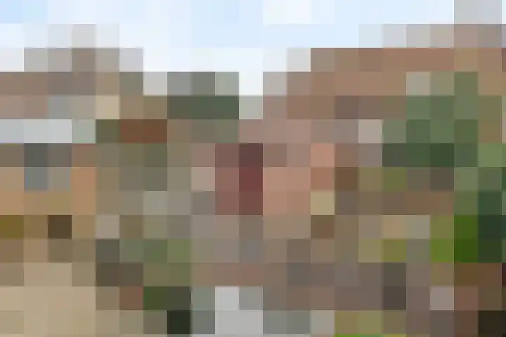 Homoetsestraat 14 Maurik thumbnail 11