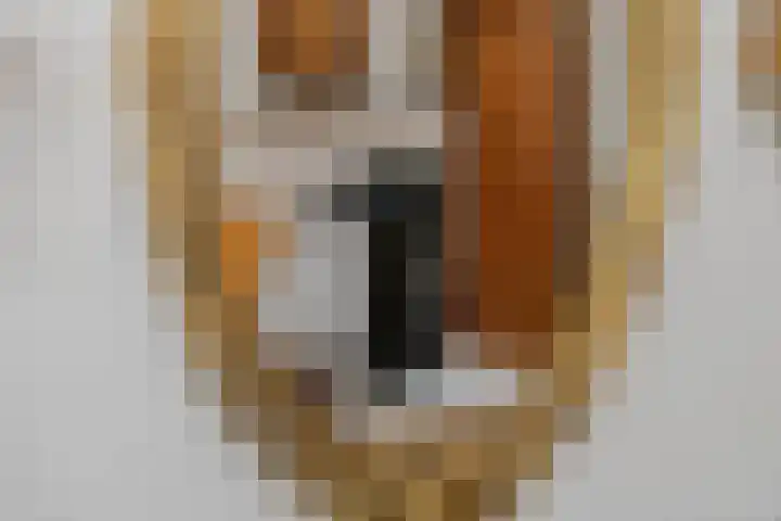 Homoetsestraat 14 Maurik thumbnail 17