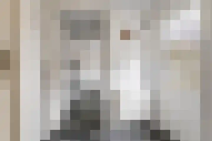Homoetsestraat 14 Maurik thumbnail 30