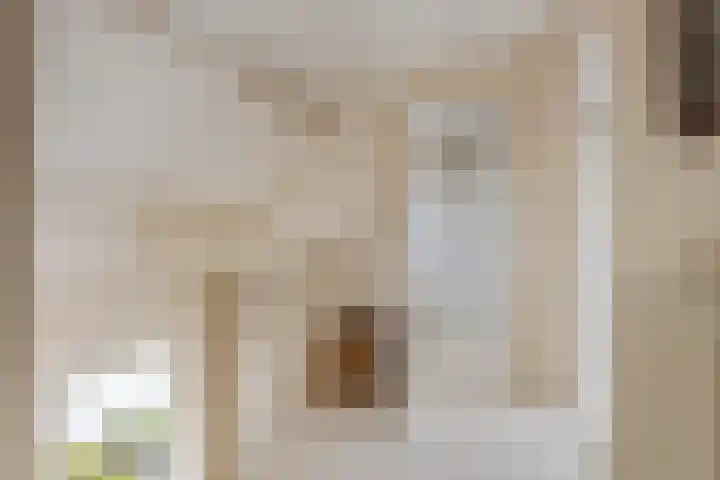Homoetsestraat 14 Maurik thumbnail 36